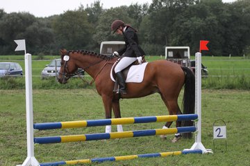 Bild 1338 - WBO-Turnier am 18.9.11